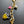 Load image into Gallery viewer, 611fc05e3c4ce80992caae23_img-5561_1755216953158.jpeg
