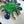 Load image into Gallery viewer, 611fc05e3c4ce80992caae23_img-6005_1747870304896.jpg
