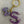 Load image into Gallery viewer, 611fc05e3c4ce80992caae23_img-6407_1764866601708.jpeg
