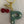 Load image into Gallery viewer, 611fc05e3c4ce80992caae23_img-6412_1764866830701.jpeg
