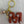 Load image into Gallery viewer, 611fc05e3c4ce80992caae23_img-6414_1764866830702.jpeg
