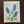 Load image into Gallery viewer, 611fc05e3c4ce80992caae23_img-8342_1776096973819.jpeg

