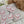 Load image into Gallery viewer, 611fc05e3c4ce80992caae23_img-8348_1763585774708.jpg
