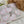 Load image into Gallery viewer, 611fc05e3c4ce80992caae23_img-8398_1769894015000.jpg
