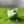 Load image into Gallery viewer, 611fc05e3c4ce80992caae23_img-8787_1770490192605.jpeg
