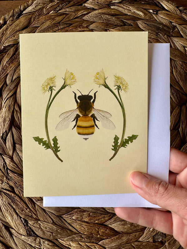 611fc05e3c4ce80992caae23_lls-product-bee-card-1_1747881493758.jpg