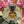 Load image into Gallery viewer, 611fc05e3c4ce80992caae23_lls-product-bee-sticker-2_1747882341570.jpg
