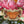 Load image into Gallery viewer, 611fc05e3c4ce80992caae23_lls-product-orangebutterfly-sticker-1_1747882143029.jpg
