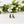 Load image into Gallery viewer, 611fc05e3c4ce80992caae23_miss-modi-stylized-15-square_1758752044505.jpg
