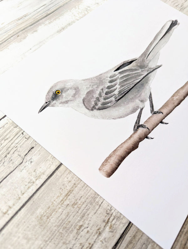 611fc05e3c4ce80992caae23_mockingbird-detail_1774990542424.jpg