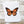 Load image into Gallery viewer, 611fc05e3c4ce80992caae23_monarch-butterfly-card_1753795881230.jpg
