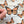 Load image into Gallery viewer, 611fc05e3c4ce80992caae23_monarch-butterfly-hand_1753884267909.jpg

