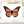 Load image into Gallery viewer, 611fc05e3c4ce80992caae23_monarch_1752700034898.jpg
