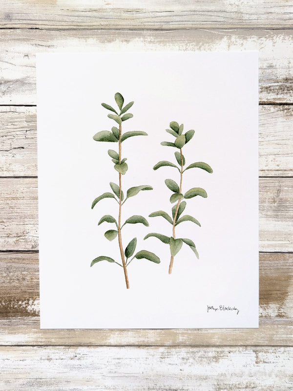 611fc05e3c4ce80992caae23_oregano-print_1774991336113.jpg