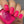 Load image into Gallery viewer, 611fc05e3c4ce80992caae23_photo-feb-13-2025-2-10-44-pm_1749237823577.jpg
