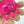 Load image into Gallery viewer, 611fc05e3c4ce80992caae23_photo-output_1749237823578.jpg
