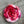 Load image into Gallery viewer, 611fc05e3c4ce80992caae23_pink-barbie-ornament-a-_1763269848736.jpg
