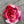 Load image into Gallery viewer, 611fc05e3c4ce80992caae23_pink-barbie-ornament-b-_1763269848736.jpg
