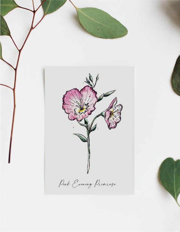 611fc05e3c4ce80992caae23_pink-evening-primrose-mock_1748015070183.jpg