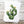 Load image into Gallery viewer, 611fc05e3c4ce80992caae23_prickly-pear-cactus-card-with-envelope_1753881544505.jpg
