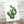 Load image into Gallery viewer, 611fc05e3c4ce80992caae23_prickly-pear-cactus-card_1753881544504.jpg
