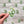 Load image into Gallery viewer, 611fc05e3c4ce80992caae23_prickly-pear-single-sticker_1753884656685.jpg
