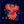 Load image into Gallery viewer, 611fc05e3c4ce80992caae23_rooster1-insta_1772489489995.jpg
