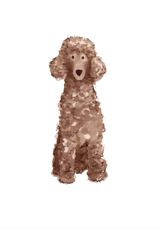 Standard Poodle Prints