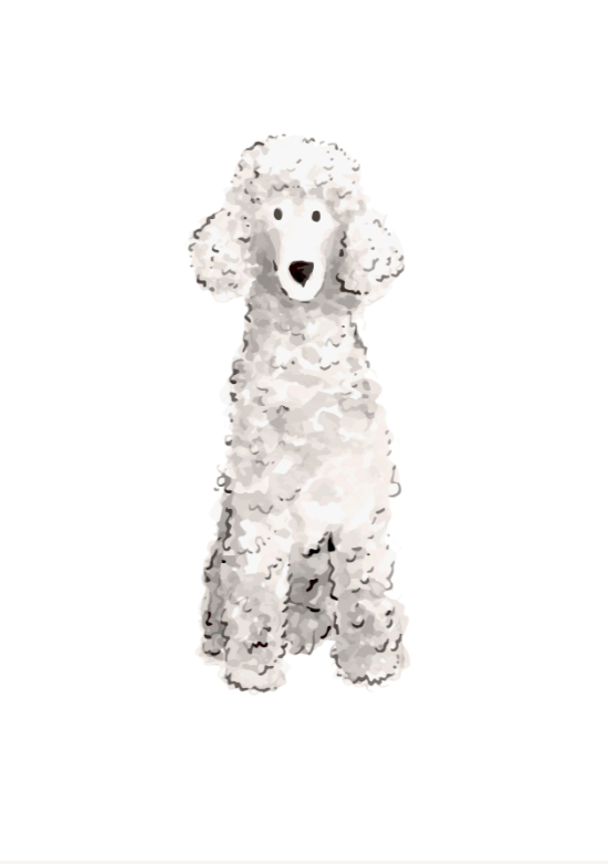 Standard Poodle Prints
