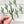 Load image into Gallery viewer, 611fc05e3c4ce80992caae23_sticker-cactus-collage_1753884803135.jpg
