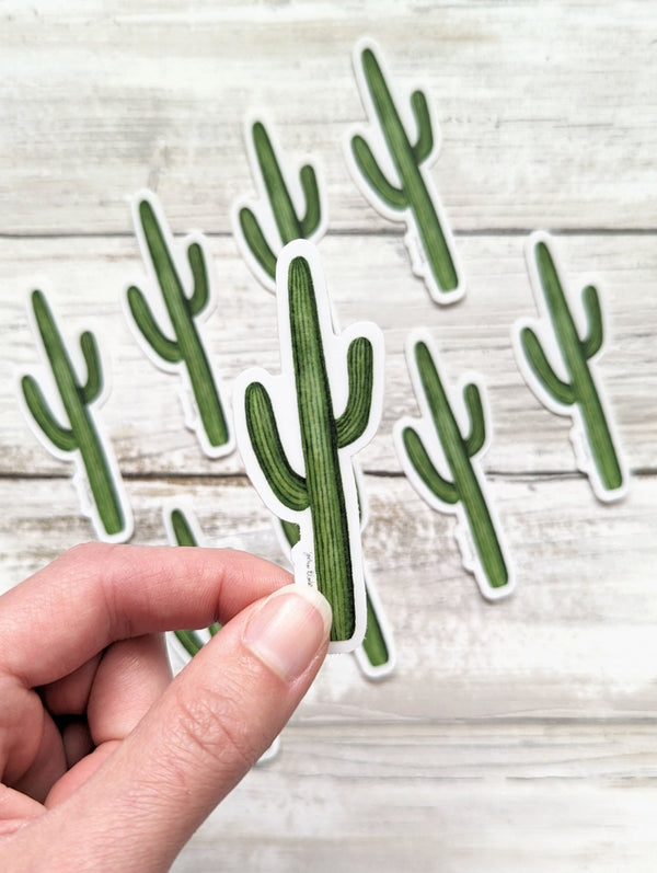 611fc05e3c4ce80992caae23_sticker-cactus-collage_1753884803135.jpg