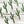 Load image into Gallery viewer, 611fc05e3c4ce80992caae23_sticker-cactus-multiples_1753884803135.jpg
