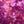 Load image into Gallery viewer, Dyed Bandana 25" Square
