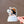 Load image into Gallery viewer, Rootin' for Myself Die Cut Sticker
