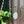 Load image into Gallery viewer, Raw Crystal Suncatcher // Single Hoop - 1
