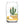 Load image into Gallery viewer, Dallas Succulent Skyline Can Glass
