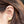 Load image into Gallery viewer, Triceratops Enamel Stud Earrings - 1
