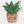 Load image into Gallery viewer, Plants are Friends Sticker
