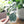 Load image into Gallery viewer, Plant Lady Sticker
